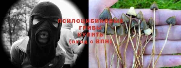 PSILOCYBIN Верея
