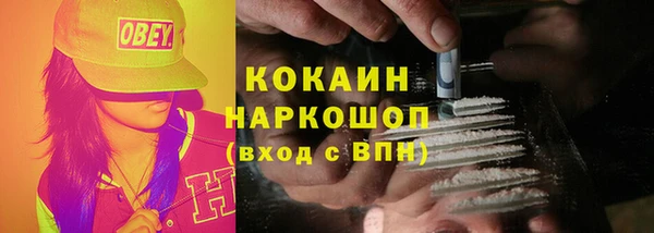 PSILOCYBIN Верея