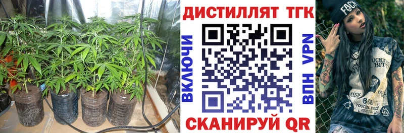 ТГК Wax  Нижний Тагил 